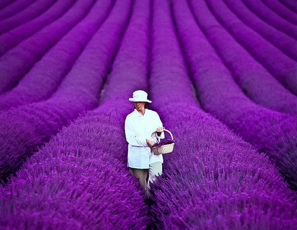 sifat orang yang menyukai warna ungu