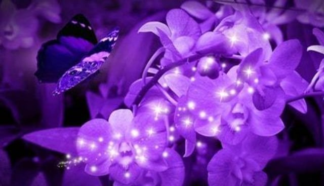 pengertian warna ungu dan macam-macam, warna ungu