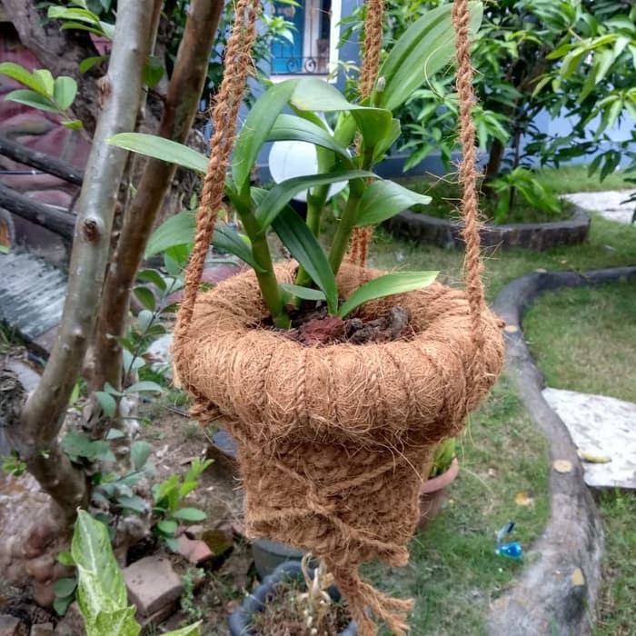 vas bunga dari sabut kelapa